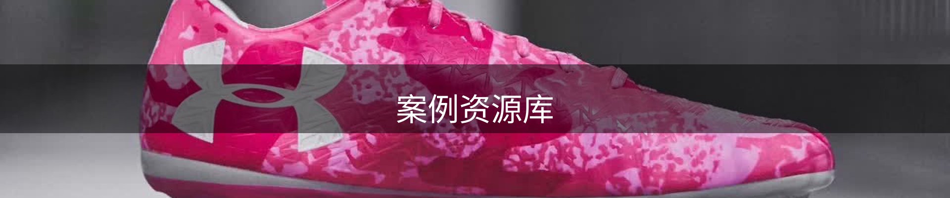 案例资源库